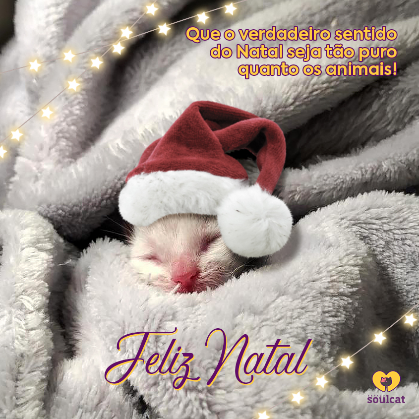 SOULCAT-NATAL