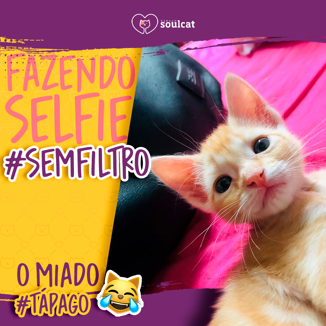 #SEMFILTRO