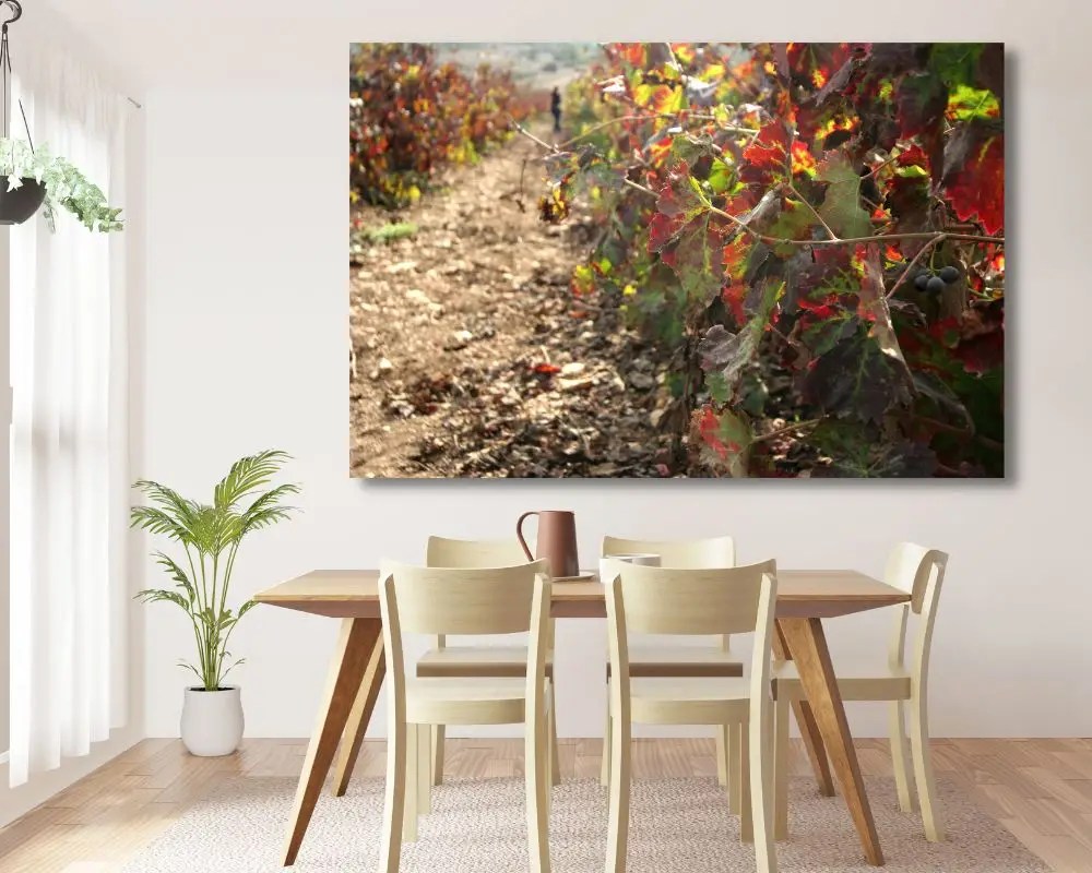 %d7%9b%d7%a8%d7%9d-1063