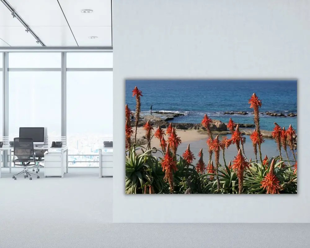 אלוורה 1333 תמונה למשרד