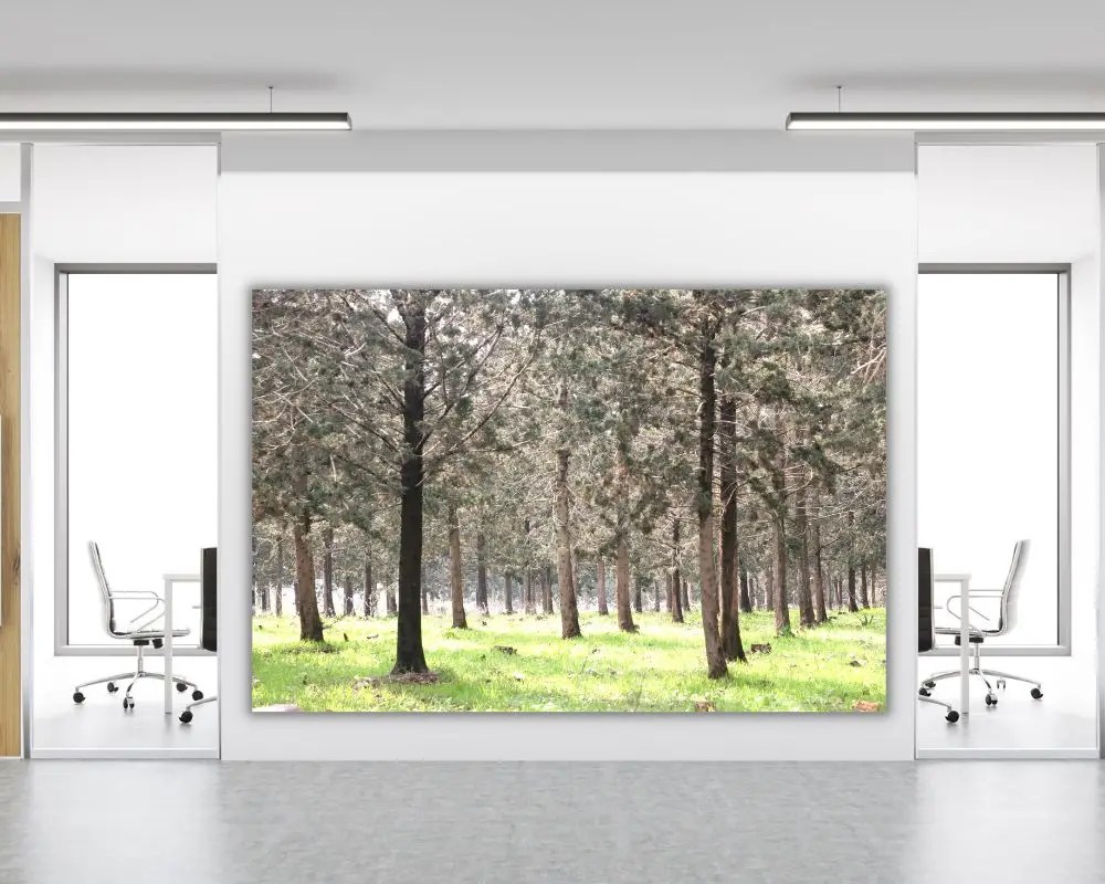 קווים של רוגע 1480 תמונה למשרד