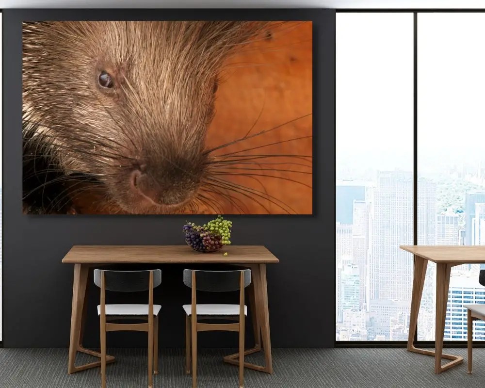 %d7%93%d7%95%d7%a8%d7%91%d7%9f-1532