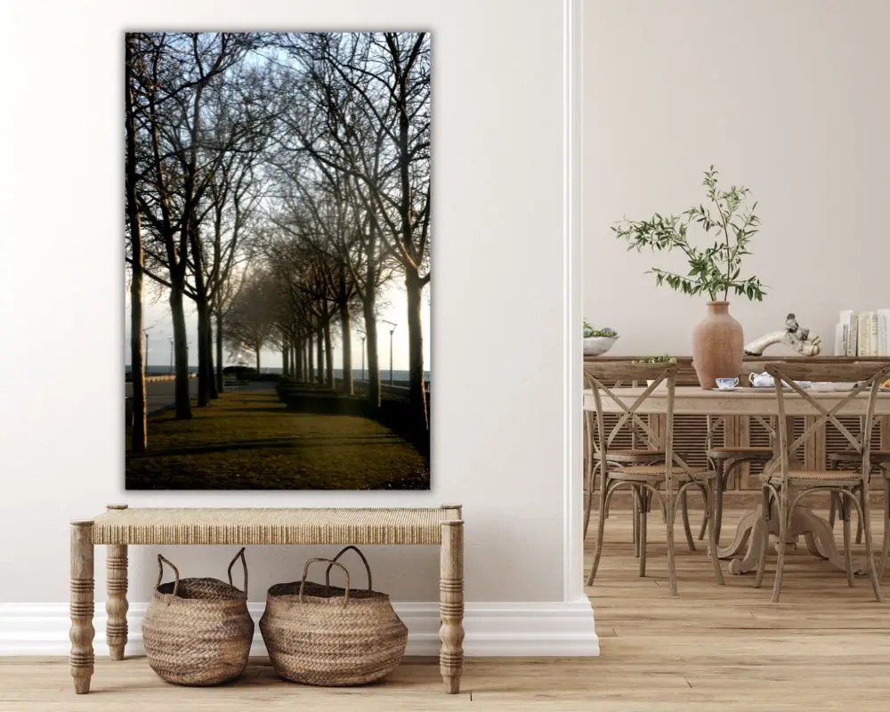 %d7%a9%d7%93%d7%a8%d7%aa-%d7%a2%d7%a6%d7%99%d7%9d-170