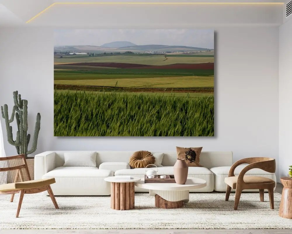 שדות אינסופיים 1890 תמונה לסלון