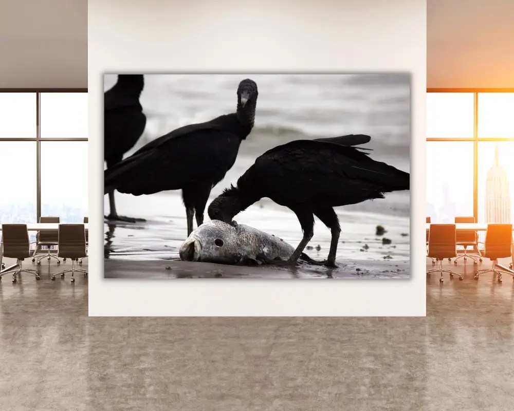 ציפורים רעבות 2019 תמונה למשרד