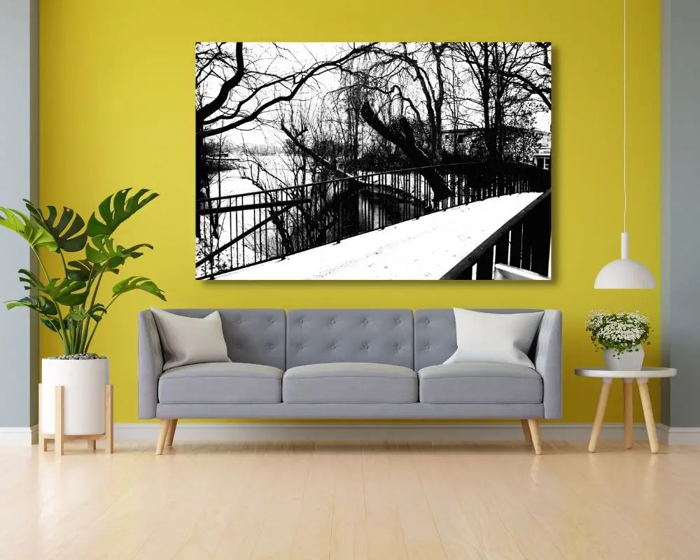 גשר בלבן 206 בסלון