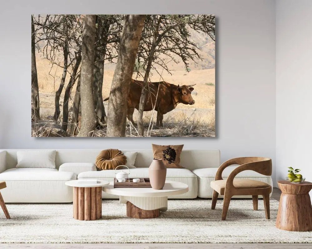 %d7%91%d7%a6%d7%9c-%d7%94%d7%a2%d7%a6%d7%99%d7%9d-2214