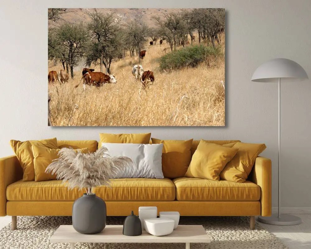 %d7%a2%d7%93%d7%a8-%d7%91%d7%a7%d7%99%d7%a5-2215