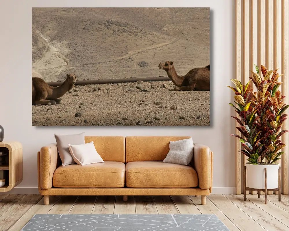 %d7%9e%d7%93%d7%91%d7%a8-%d7%91%d7%a9%d7%a0%d7%99%d7%99%d7%9d-2227