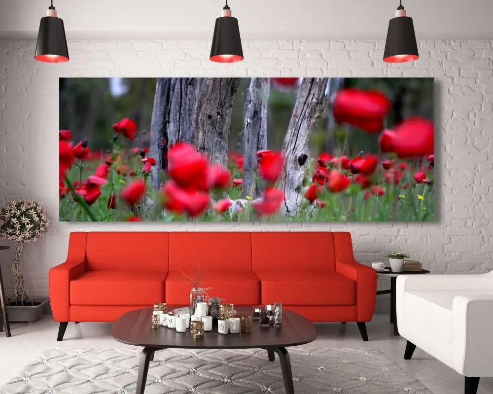 כלניות 268 תמונה לסלון