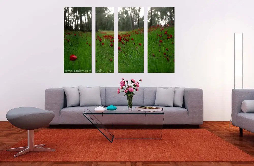 תמונות קנבס מחולקת