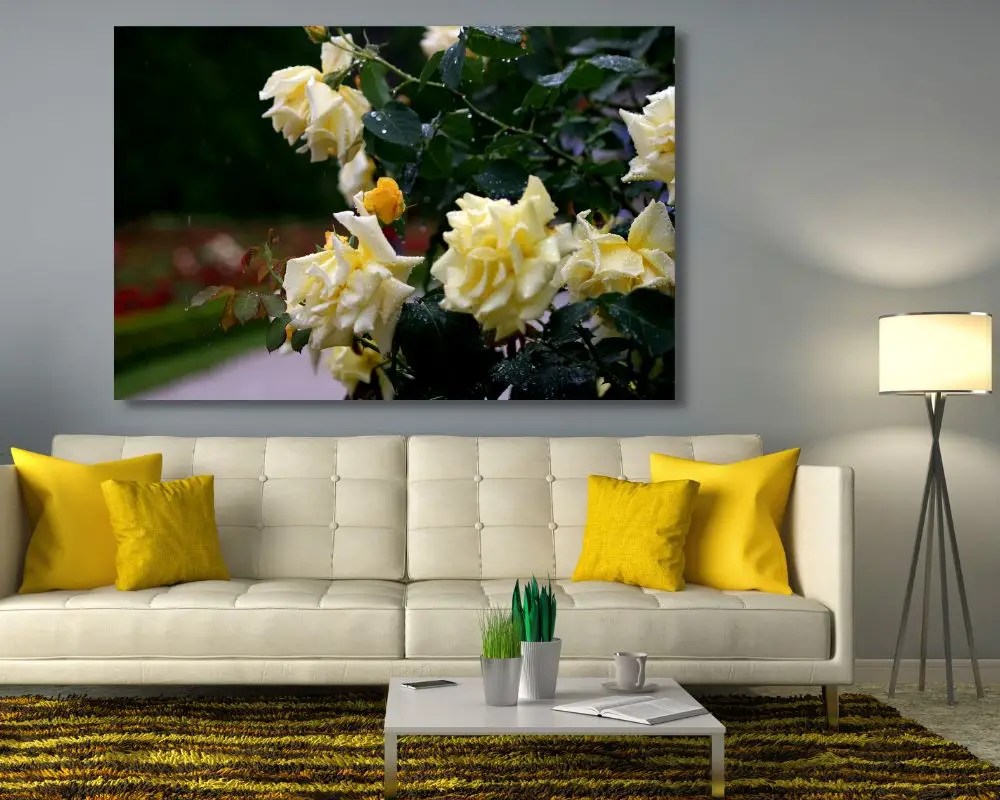 ורד צהוב 298 תמונה לסלון