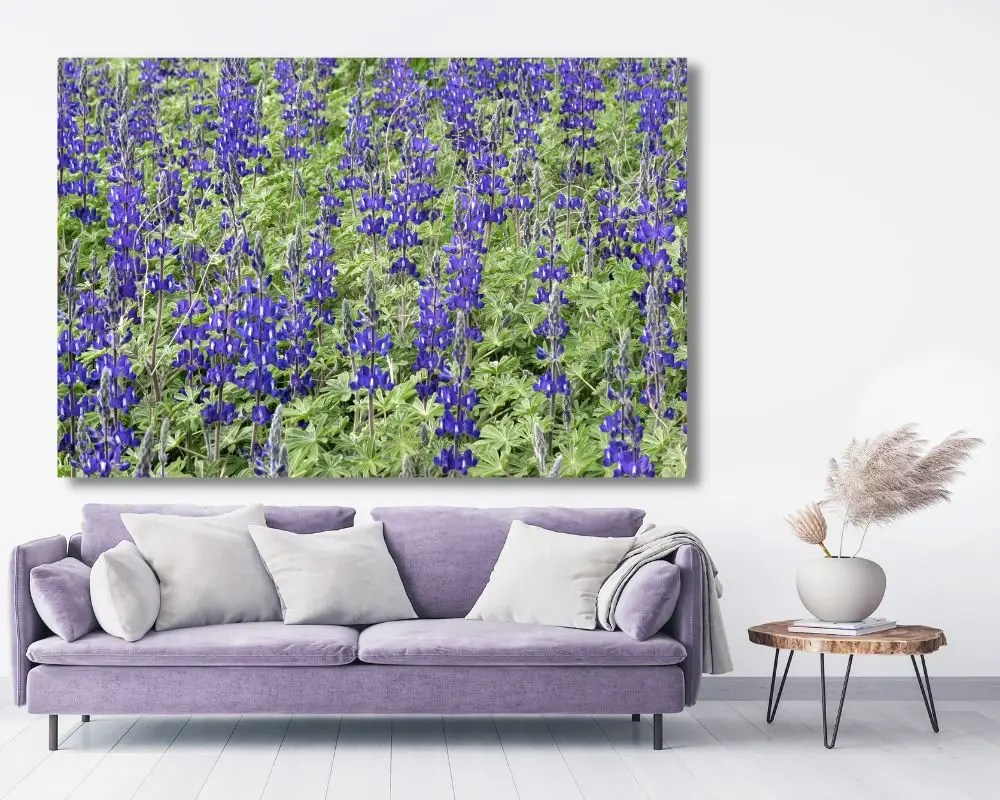 %d7%a8%d7%9b%d7%95%d7%aa-%d7%a1%d7%92%d7%95%d7%9c%d7%94-3037