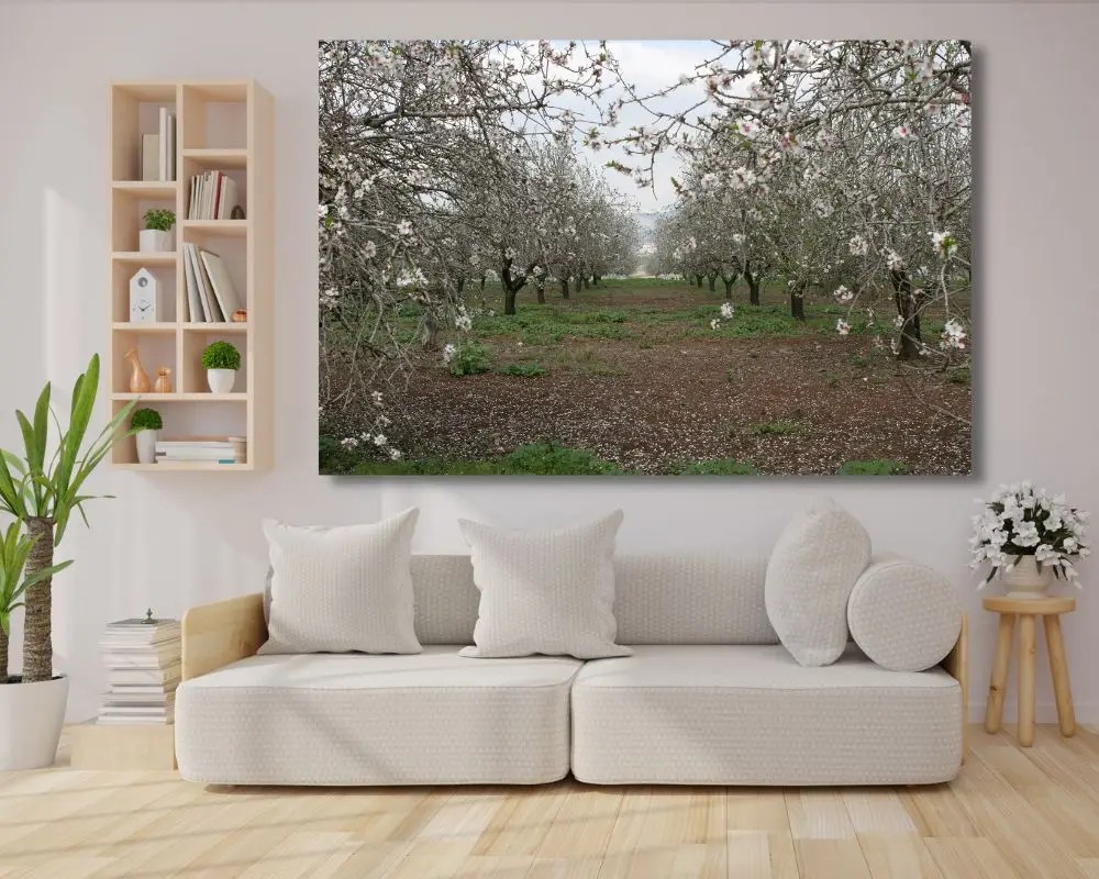 שדרת שקדיות 3044 תמונה לסלון