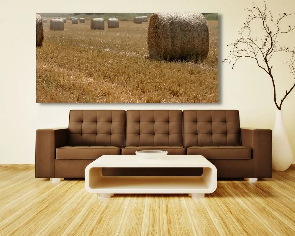 חציר 3159 תמונה לסלון