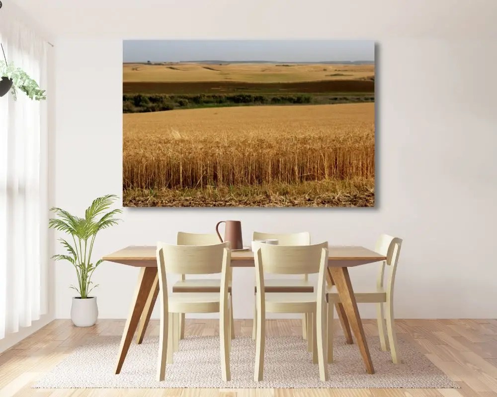 %d7%a0%d7%95%d7%a3-%d7%a9%d7%93%d7%95%d7%aa-3168