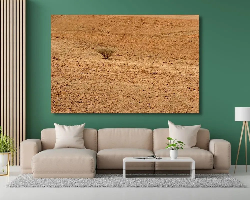 %d7%a6%d7%9e%d7%97-%d7%91%d7%95%d7%93%d7%93-3346