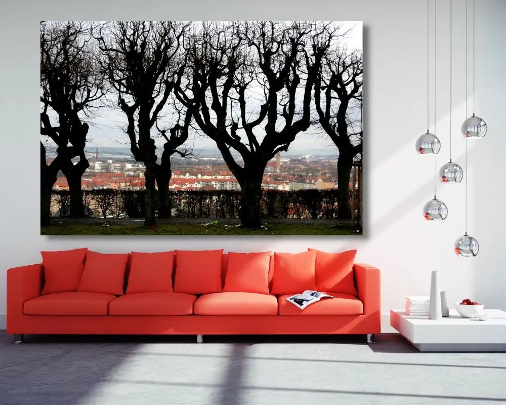 עצים מול הנוף 380 תמונה לסלון