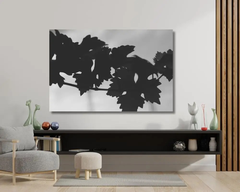 גפן 3876 בסלון