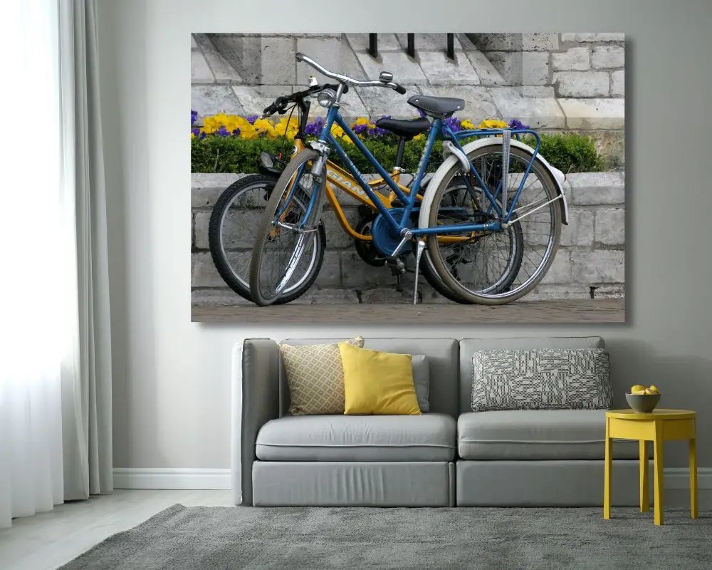אופניים ופרחים 395 תמונה לסלון
