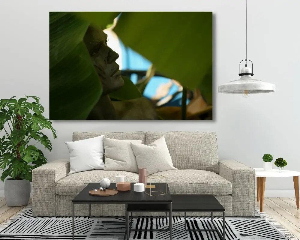 האיש בגינה 3954 תמונה לסלון