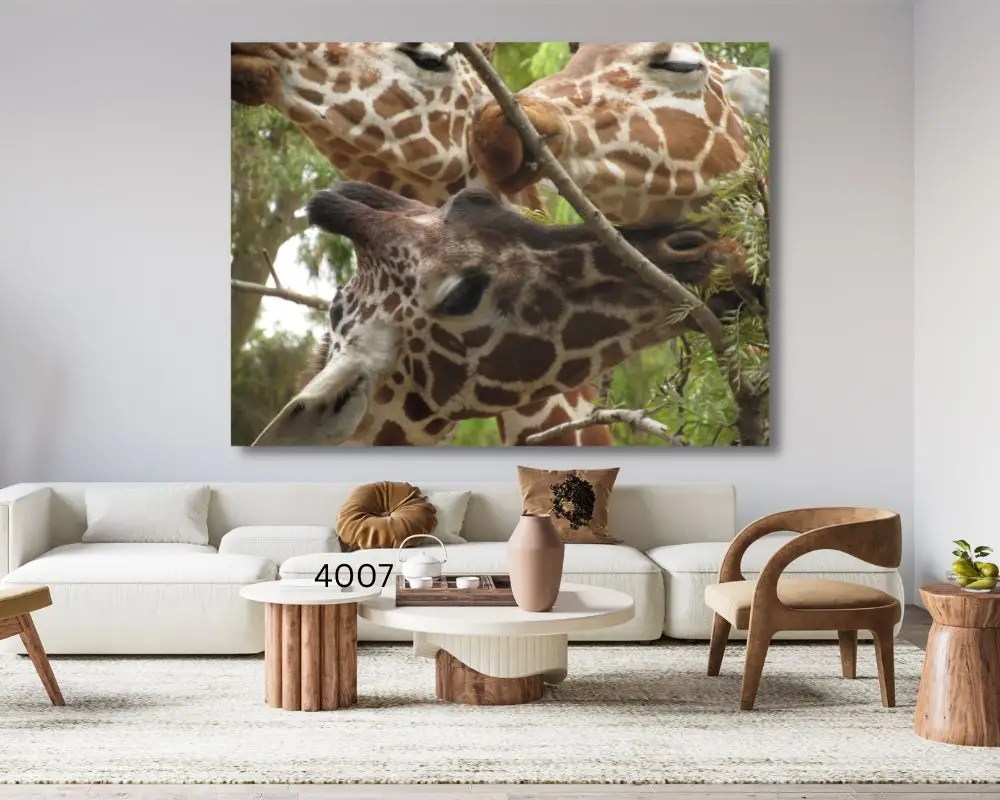 שלושה בגובה 4007 תמונה לסלון