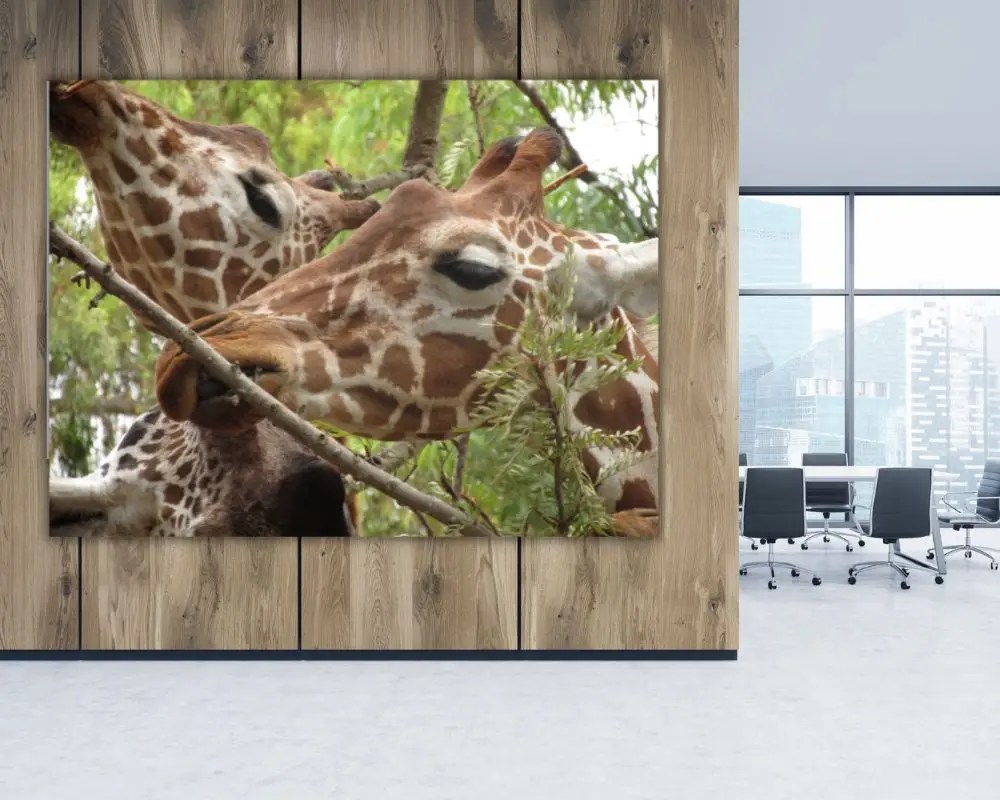 %d7%90%d7%9b%d7%99%d7%9c%d7%94-%d7%91%d7%92%d7%95%d7%91%d7%94-4008