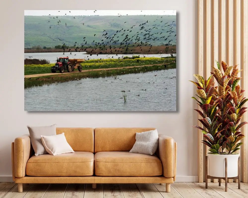 דרך של טבע 4050 תמונה לסלון