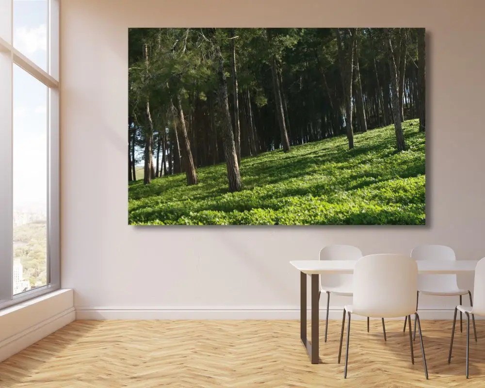 %d7%99%d7%a2%d7%a8-5017