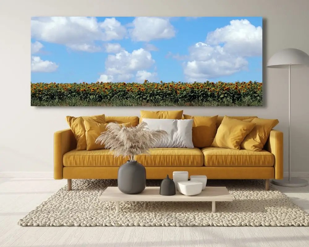 %d7%a9%d7%93%d7%94-%d7%97%d7%9e%d7%a0%d7%99%d7%95%d7%aa-5137