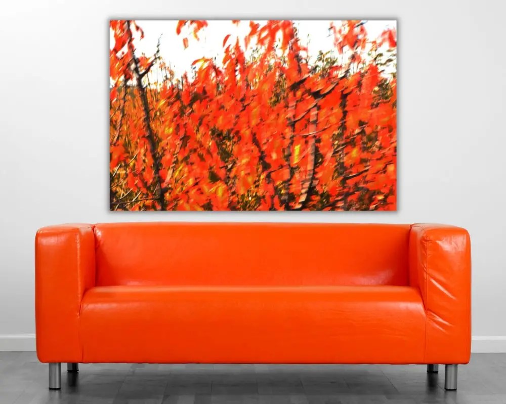 עץ ברוח 5138 תמונה לסלון