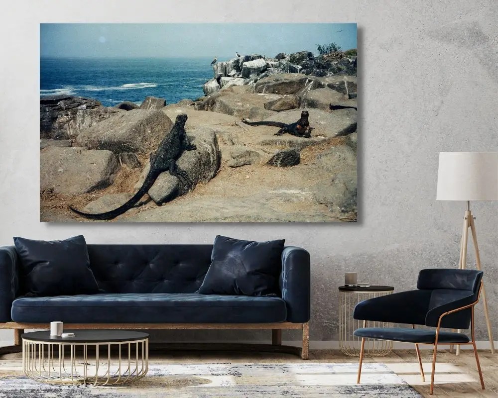 איגואנה מול הים 5187 תמונה לסלון