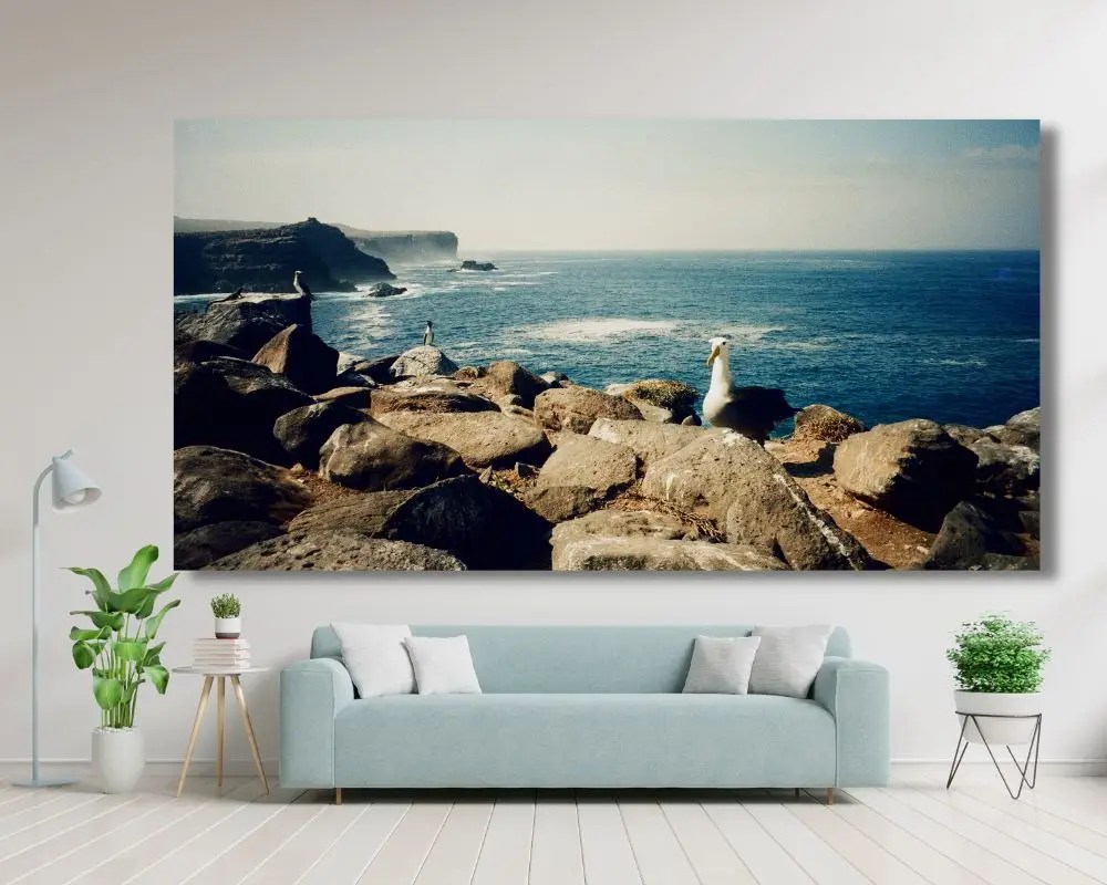 סולה כחולת רגל 5191 תמונה לסלון