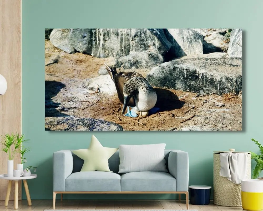 סולה כחולת רגל 5192 תמונה לסלון