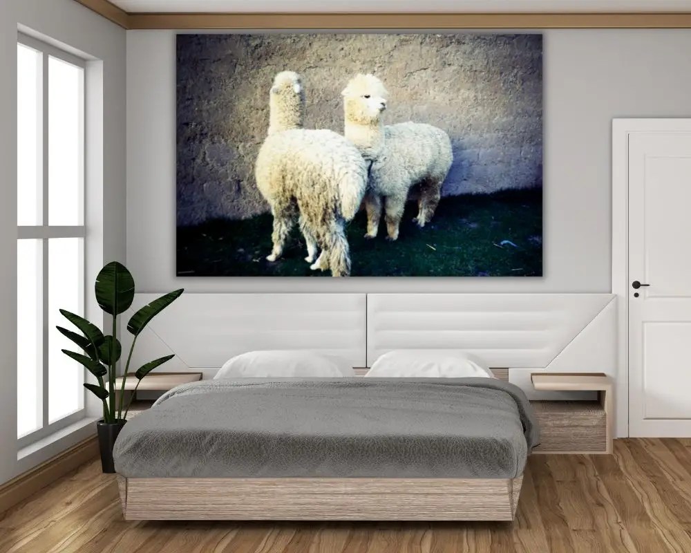 למה 5196 תמונה לחדר שינה