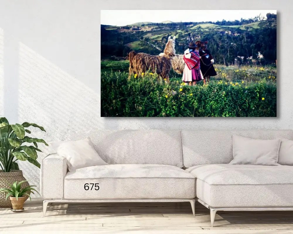 נשים עם אלפקות 5197 תמונה לסלון