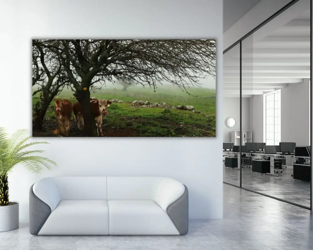 %d7%a4%d7%a8%d7%95%d7%aa-%d7%91%d7%a2%d7%a8%d7%a4%d7%9c-5207