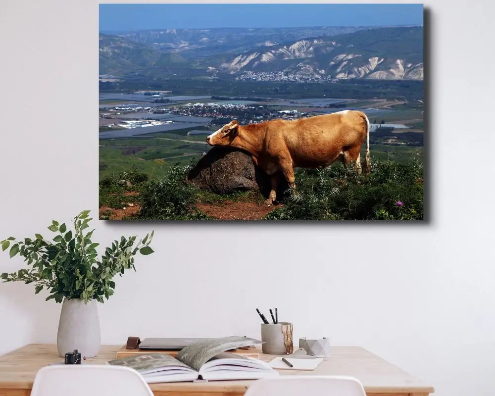 בין סלע לעמק 5217 תמונה למשרד