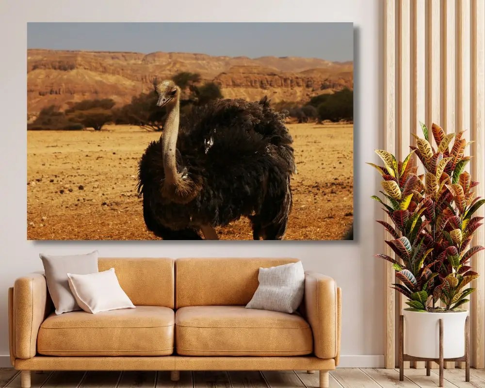 יען 5255 תמונה לסלון