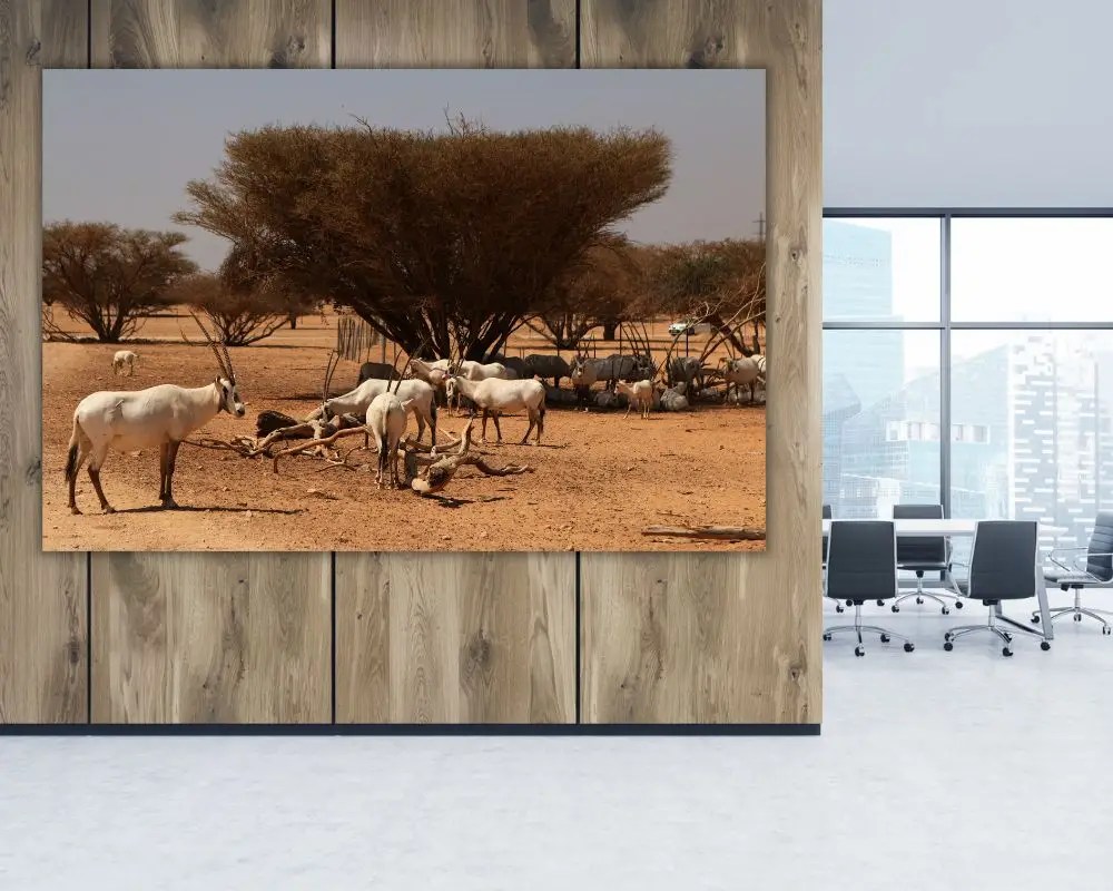 ראם לבן 5258 תמונה למשרד