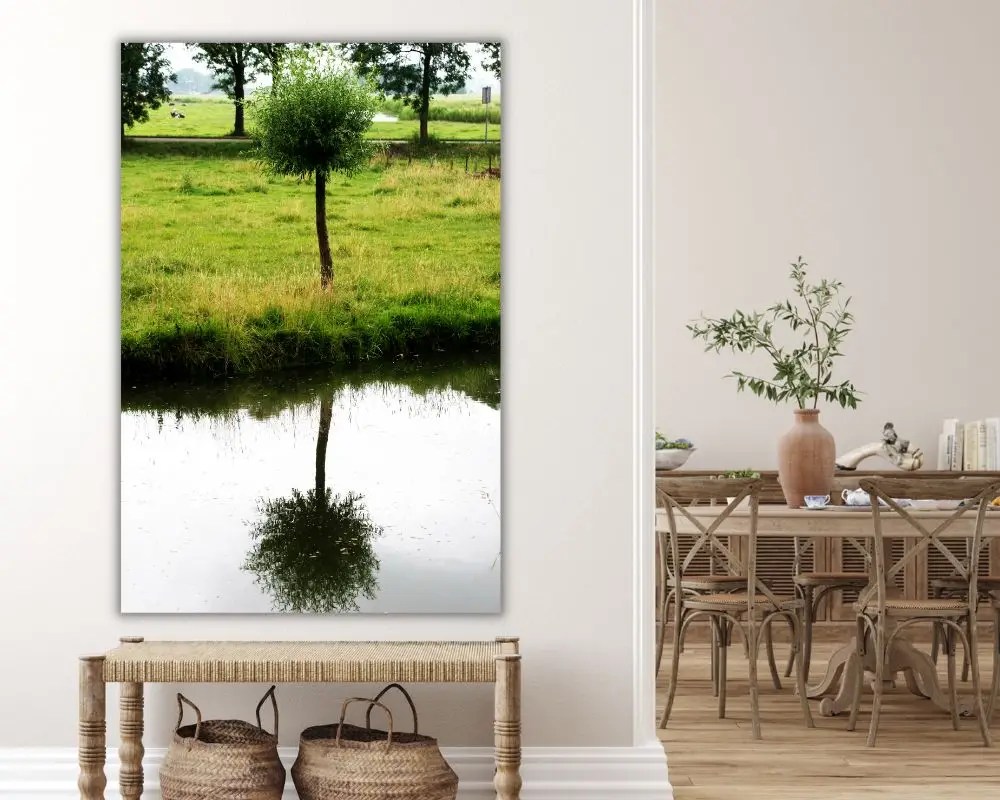 השתקפות עץ 533 תמונה לסלון