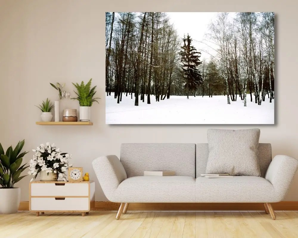 סצנת חורף כובשת 57 תמונה לסלון