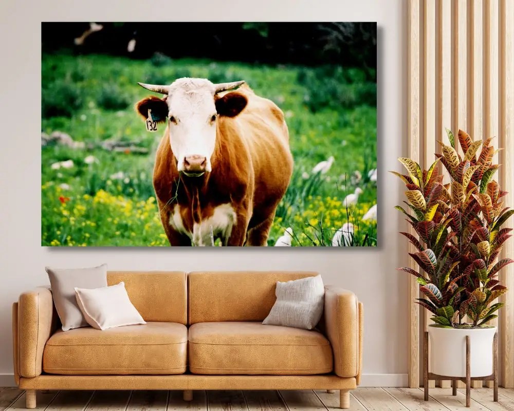 %d7%a2%d7%99%d7%a0%d7%99%d7%99%d7%9d-%d7%a9%d7%a7%d7%98%d7%95%d7%aa-7