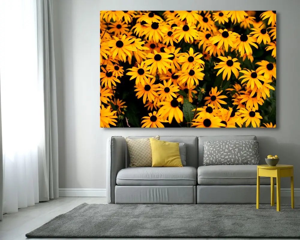 %d7%a4%d7%a8%d7%99%d7%97%d7%94-%d7%a6%d7%94%d7%95%d7%91%d7%94-803