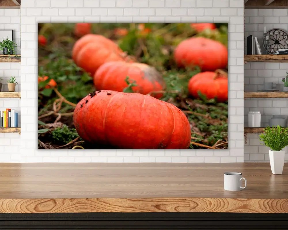 %d7%a9%d7%93%d7%94-%d7%9b%d7%aa%d7%95%d7%9d-928