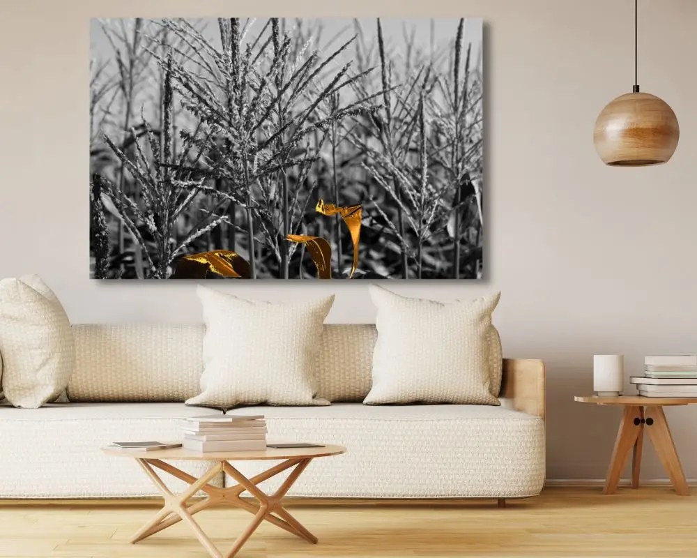 תירס בזהב (5261-gold)