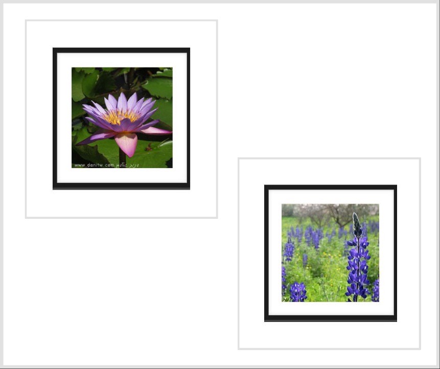 %d7%aa%d7%9e%d7%95%d7%a0%d7%95%d7%aa-%d7%a0%d7%93%d7%91%d7%a7%d7%95%d7%aa-%d7%91%d7%9e%d7%91%d7%a6%d7%a2-%d7%a4%d7%a8%d7%97%d7%99%d7%9d