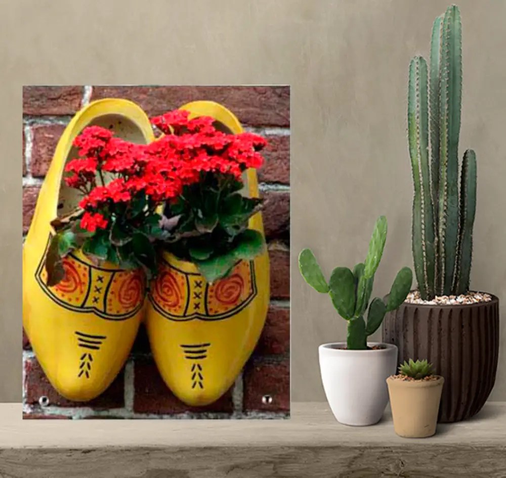 תמונות על זכוכית עומדת