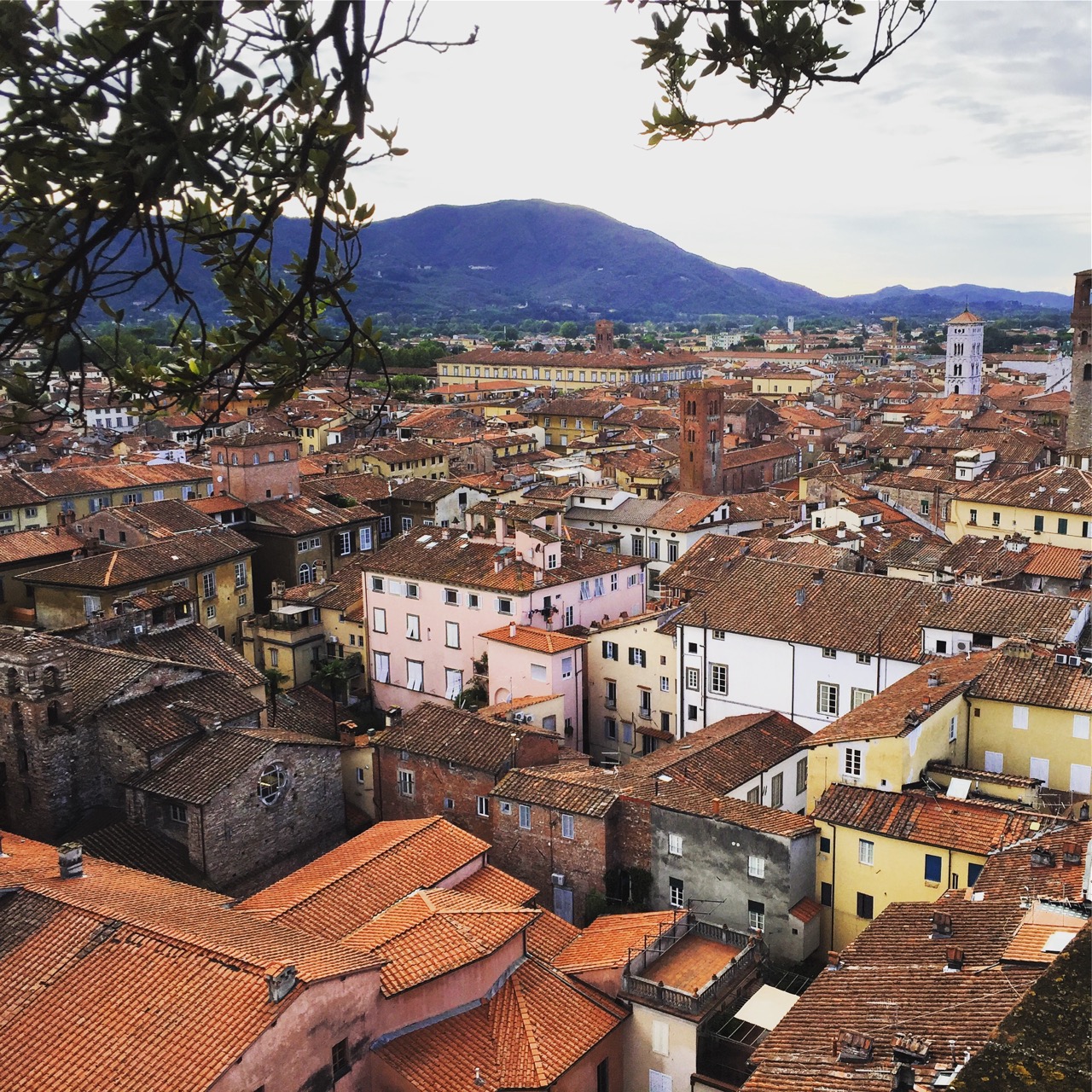 View of Lucca