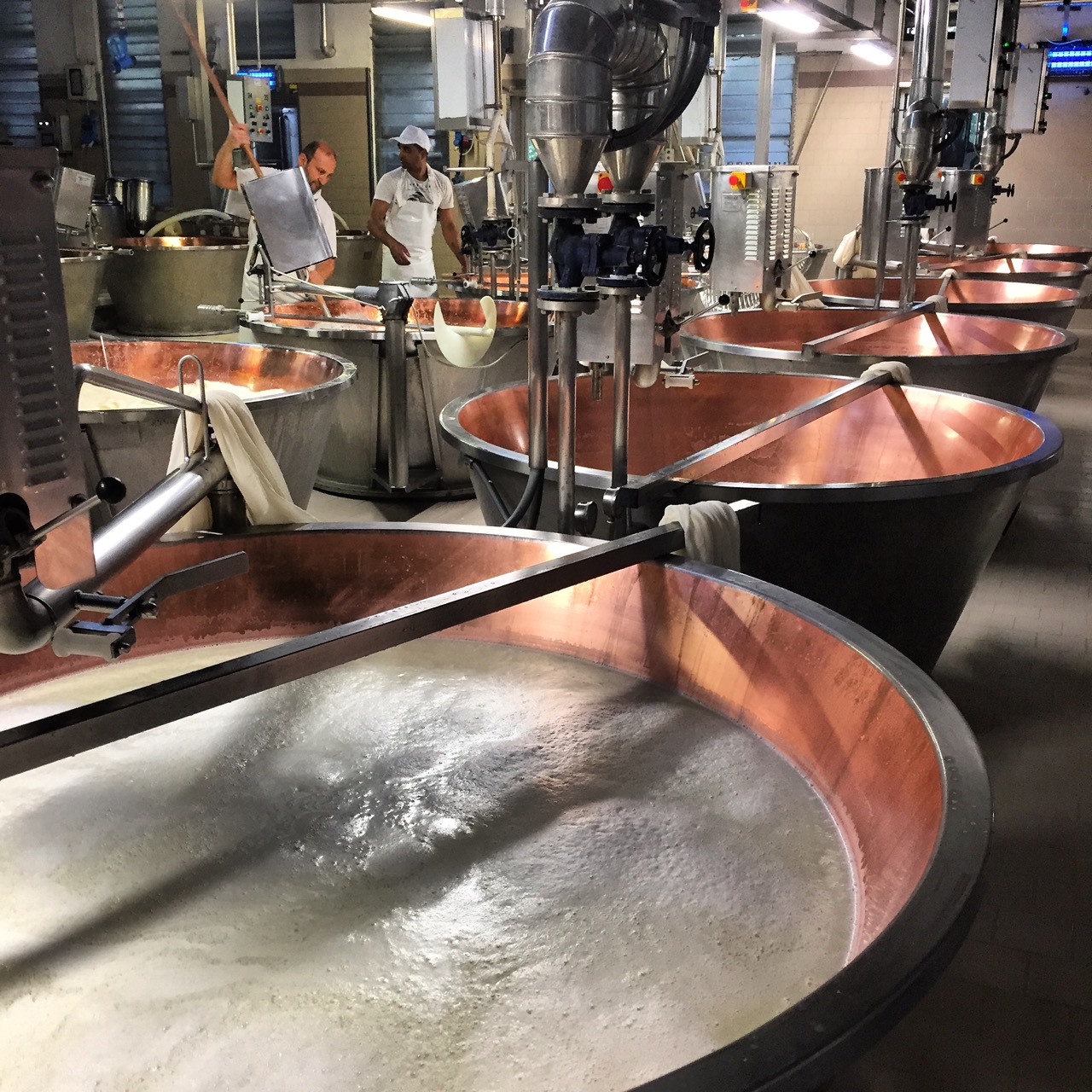 32 copper vats make 64 wheels of cheese a day